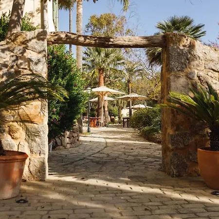 Coll Boutique - Adults Only Couette-café Sóller
