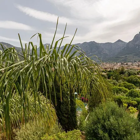 Coll Boutique - Adults Only 4*